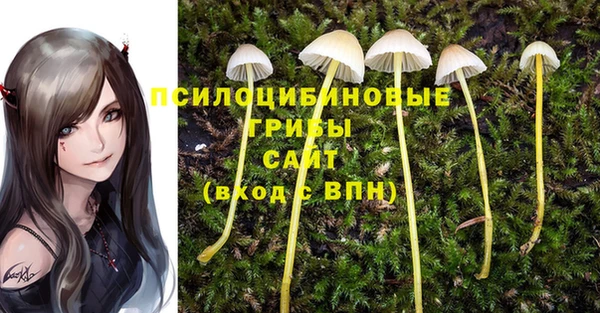 марки nbome Алексин