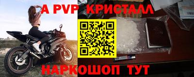 амф Новозыбков