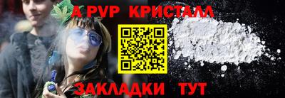 амф Новозыбков