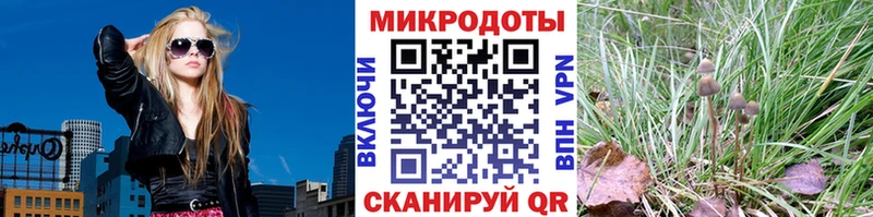 мега рабочий сайт  Самара  Псилоцибиновые грибы прущие грибы  где найти наркотики 