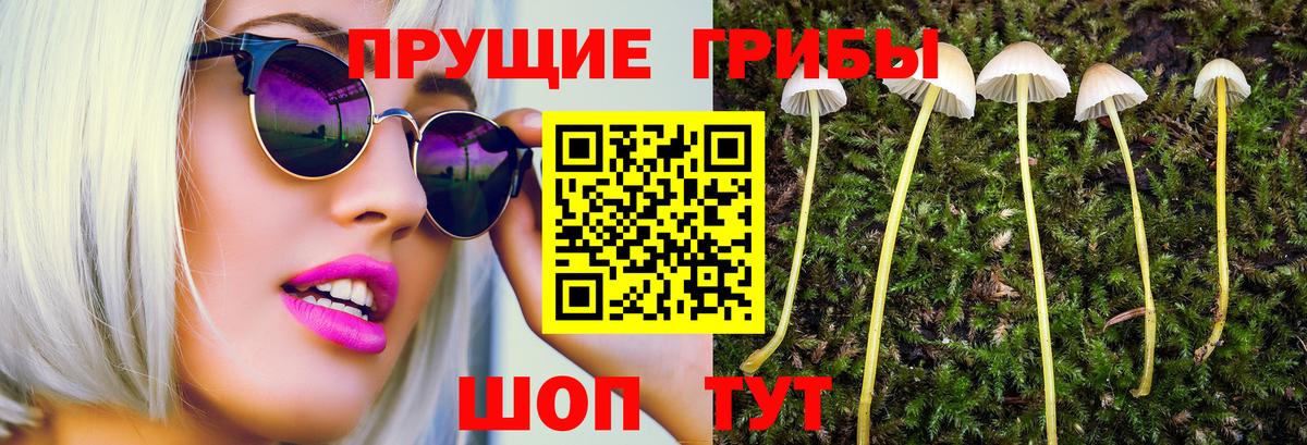 Галлюциногенные грибы MAGIC MUSHROOMS  Псилоцибиновые грибы Magic Shrooms  Самара  как найти закладки  Вход с VPN 